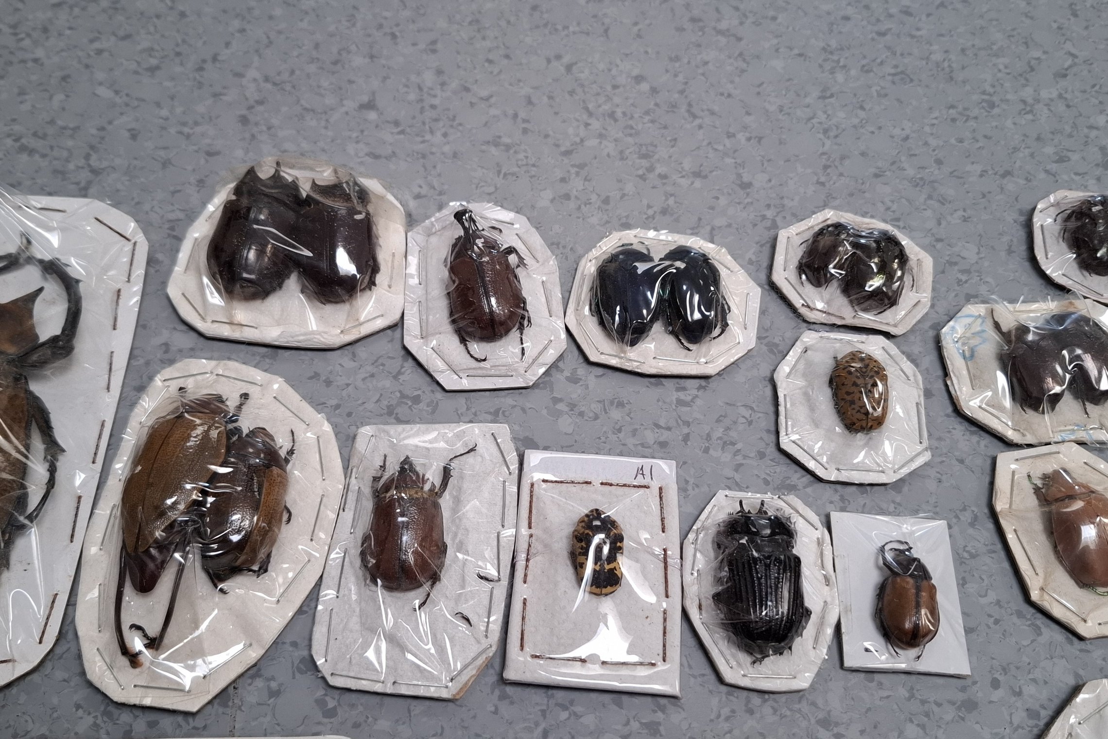 Iliustracija