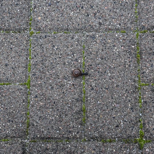 Iliustracija