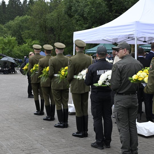 Iliustracija