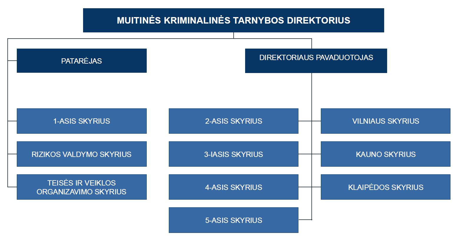 MKT struktura.jpg